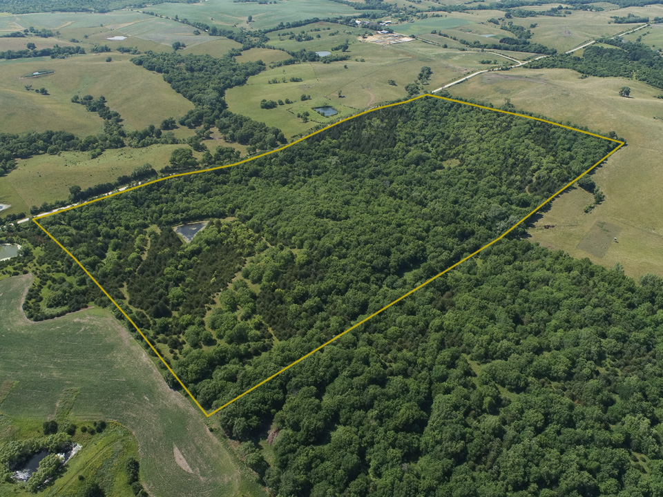 Clarke County, Iowa 80 +/- Acres Hunting Property For Sale